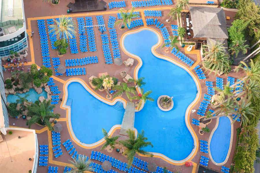 flamingo oasis hotel review