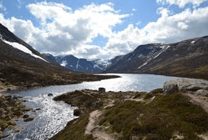 Cairngorms – the last stronghold for British wildlife