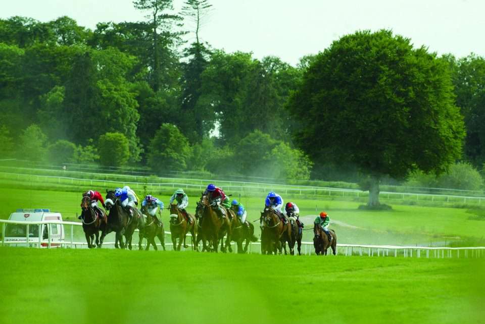 Races at Gowran Park Ireland